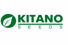 Фото 1 - КС 202 (KS 202) F1 томат індетермінантний Kitano Seeds 100 насінин