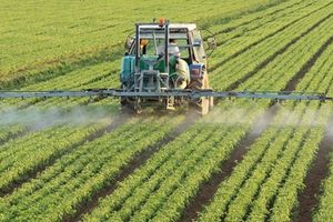 Основні правила приготування бакової суміші пестицидів