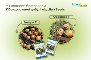 Озима цибуля Венера F1 і Альбатрос F1 від Libra Seeds