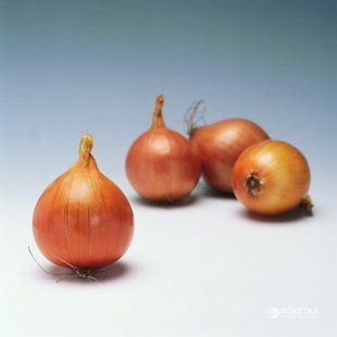 Фото 1 - Мундо лук репчатый среднепоздний Syngenta 250 000 семян