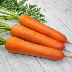 Фото 1 - Титан F1 морква тип Нантський Spark Seeds 1.8 - 2.0, 25 тис. насінин