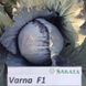 Варна F1 капуста краснокочанная Sakata 1 000 семян