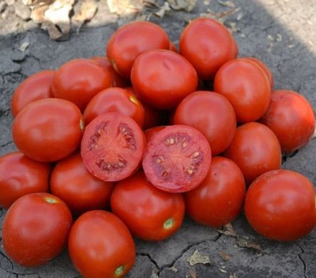 Фото 1 - 2206 F1 томат детерминантный Heinz 50 семян
