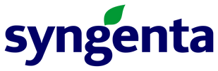 Фото 1 - Темптейшн F1 цибуля ріпчаста Syngenta 250 000 насінин