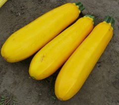 Фото 1 - Голдстік F1 кабачок жовтий Spark Seeds 500 насінин