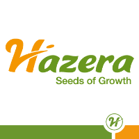 Фото 2 - VP-2 F1 (ВП-2) томат индетерминантный Hazera 10 семян