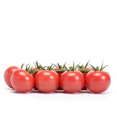 Фото 1 - Татами F1 томат индетерминантный Rijk Zwaan 100 семян