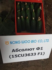Фото 1 - Солют F1 (Абсолют F1) огірок партенокарпічний Nongwoo Bio 50 насінин