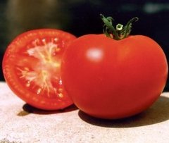Фото 1 - Ріхам F1 томат детермінантний Clause 1 000 насінин