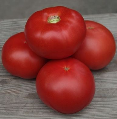 Фото 3 - Кібо F1 томат індетермінантний Kitano Seeds 100 насінин