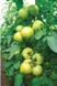 Кибо F1 томат индетерминантный Kitano Seeds 100 семян
