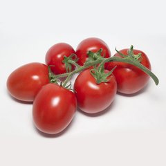 Фото 1 - Банті (КС 3819) F1 томат індетермінантний Kitano Seeds 100 насінин