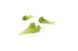 Култхард салат тип Baby leaf Rijk Zwaan 100 000 насінин