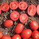 ES14916 F1 томат детерминантный Esasem 1 000 семян
