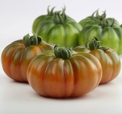 Фото 1 - Марсалато F1 томат индетерминантный Enza Zaden 250 семян