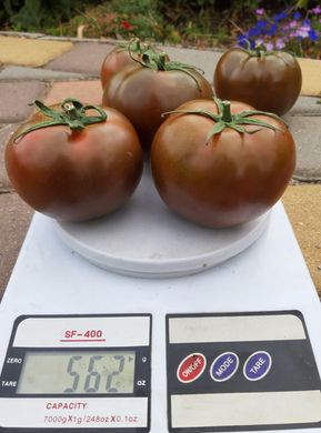 Фото 1 - Сіліврі F1 томат індетермінантний Libra Seeds 250 насінин