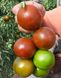 Сіліврі F1 томат індетермінантний Libra Seeds 250 насінин