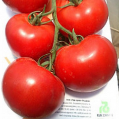Фото 1 - Луанова F1 томат индетерминантный Enza Zaden 500 семян