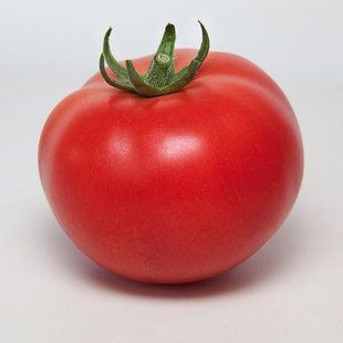 Фото 1 - Манамі (КС 21) F1 томат індетермінантний Kitano Seeds 100 насінин