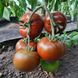 Керук F1 томат индетерминантный Libra Seeds 250 семян
