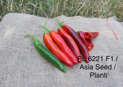 Фото 1 - PL 6221 F1 перец горький Asia Seed 100 семян