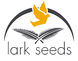 Фото 1 - Трист F1 арбуз тип Кримсон Свит Lark Seeds 1000 семян