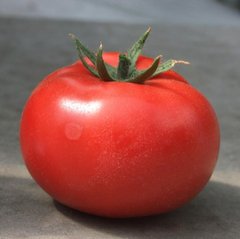 Фото 1 - Оазис F1 томат индетерминантный Clause 250 семян