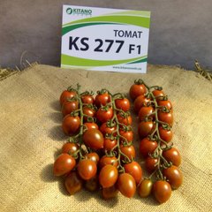 Фото 1 - КС 277 (KS 277) F1 томат індетермінантний Kitano Seeds 100 насінин