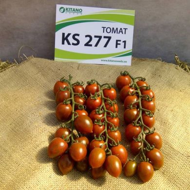 Фото 1 - КС 277 (KS 277) F1 томат индетерминантный Kitano Seeds 100 семян