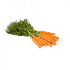 Фото 1 - Джерада F1 морковь тип Нантский Rijk Zwaan 1.8 -2,0, 25 тыс. семян