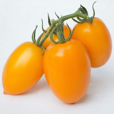 Фото 1 - Бенігара (КС 1430) F1 томат індетермінантний Kitano Seeds 8 насінин