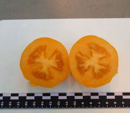 Фото 8 - Бенігара (КС 1430) F1 томат індетермінантний Kitano Seeds 8 насінин