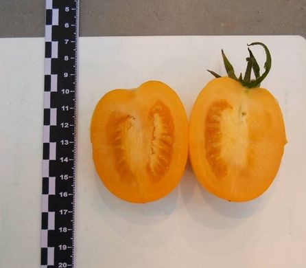 Фото 7 - Бенигара (КС 1430) F1 томат индетерминантный Kitano Seeds 8 семян
