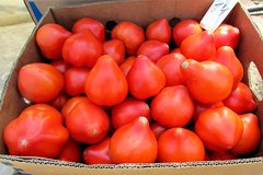 Фото 1 - Пеконет F1 томат полудетерминантный Syngenta 500 семян