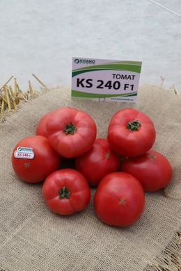 Фото 1 - Іссіма F1 (КС 240) томат індетермінантний Kitano Seeds 100 насінин