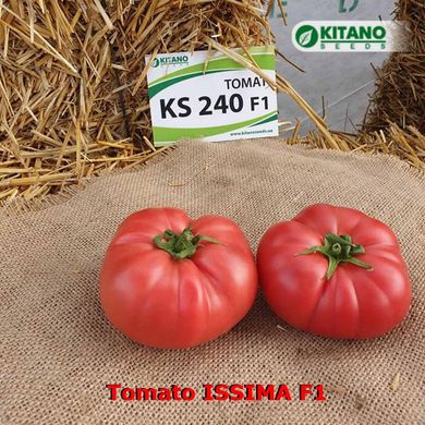 Фото 4 - Іссіма F1 (КС 240) томат індетермінантний Kitano Seeds 100 насінин