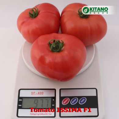 Фото 5 - Іссіма F1 (КС 240) томат індетермінантний Kitano Seeds 100 насінин