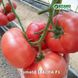 Іссіма F1 (КС 240) томат індетермінантний Kitano Seeds 100 насінин