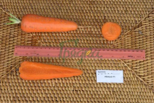 Фото 3 - Абако F1 морковь тип Шантане Seminis 400 семян