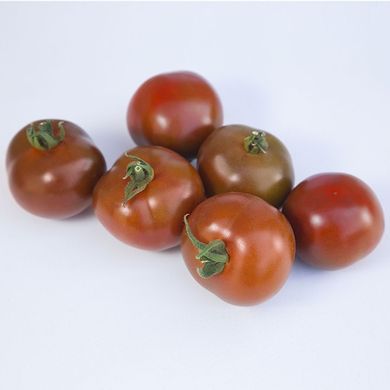 Фото 1 - KS (КС) 3900 F1 томат індетермінантний Kitano Seeds 8 насінин