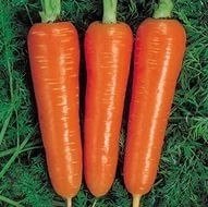 Фото 1 - Курода морква Spark Seeds 0,5 кг
