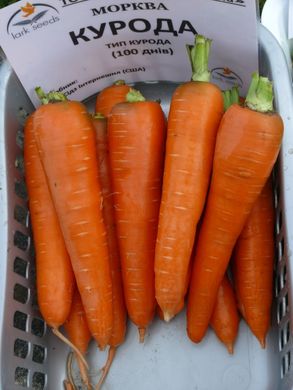 Фото 2 - Курода морква Spark Seeds 0,5 кг