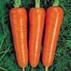 Курода морква Spark Seeds 0,5 кг