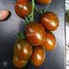 Криспина Плюм F1 томат индетерминантный Esasem 500 семян