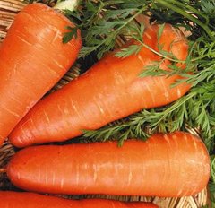 Фото 1 - Ред Коред морква Spark Seeds 0,5 кг