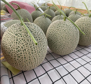 Фото 1 - К-3 F1 диня Asia Seed 100 семян