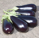 Прадо F1 (KS 1258 F1) баклажан Kitano Seeds 100 семян