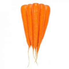 Фото 1 - Каротан F1 морква тип Флаке Rijk Zwaan 50 гр