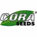 Сora Seeds