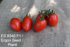 Фото 1 - ES 9340 F1 томат детермінантний Ergon Seed 500 насінин